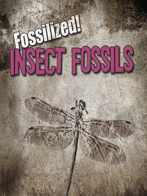 cover image of Insect Fossils